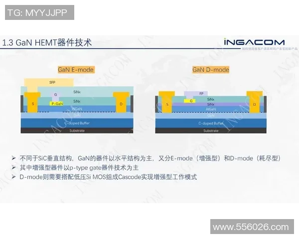 CFO战胜FNC夺冠 LEC赛季决赛回顾与分析