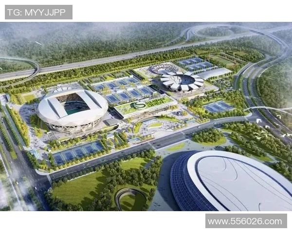 网球运动发展历程及其对全球体育文化的影响与未来趋势分析